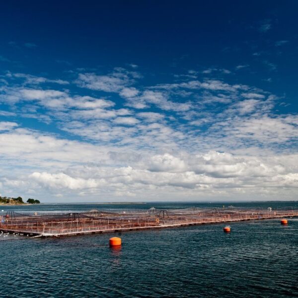 En Puerto Varas será el próximo encuentro de&hellip;