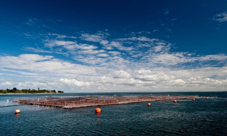 En Puerto Varas será el próximo encuentro de la versión Latinoamericana y del Caribe de la World Aquaculture Society – LACQUA 2025